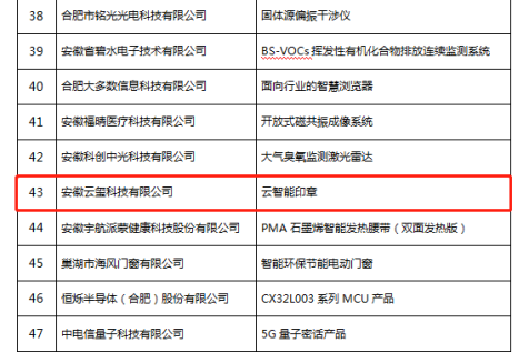 恭喜！云智能印章入選安徽省第九批信息消費(fèi)創(chuàng)新產(chǎn)品名單！(圖3)